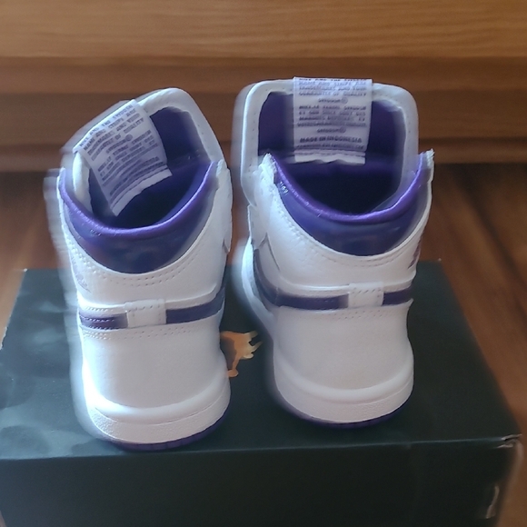 Air Jordan 1 Court Purple CU0450-151